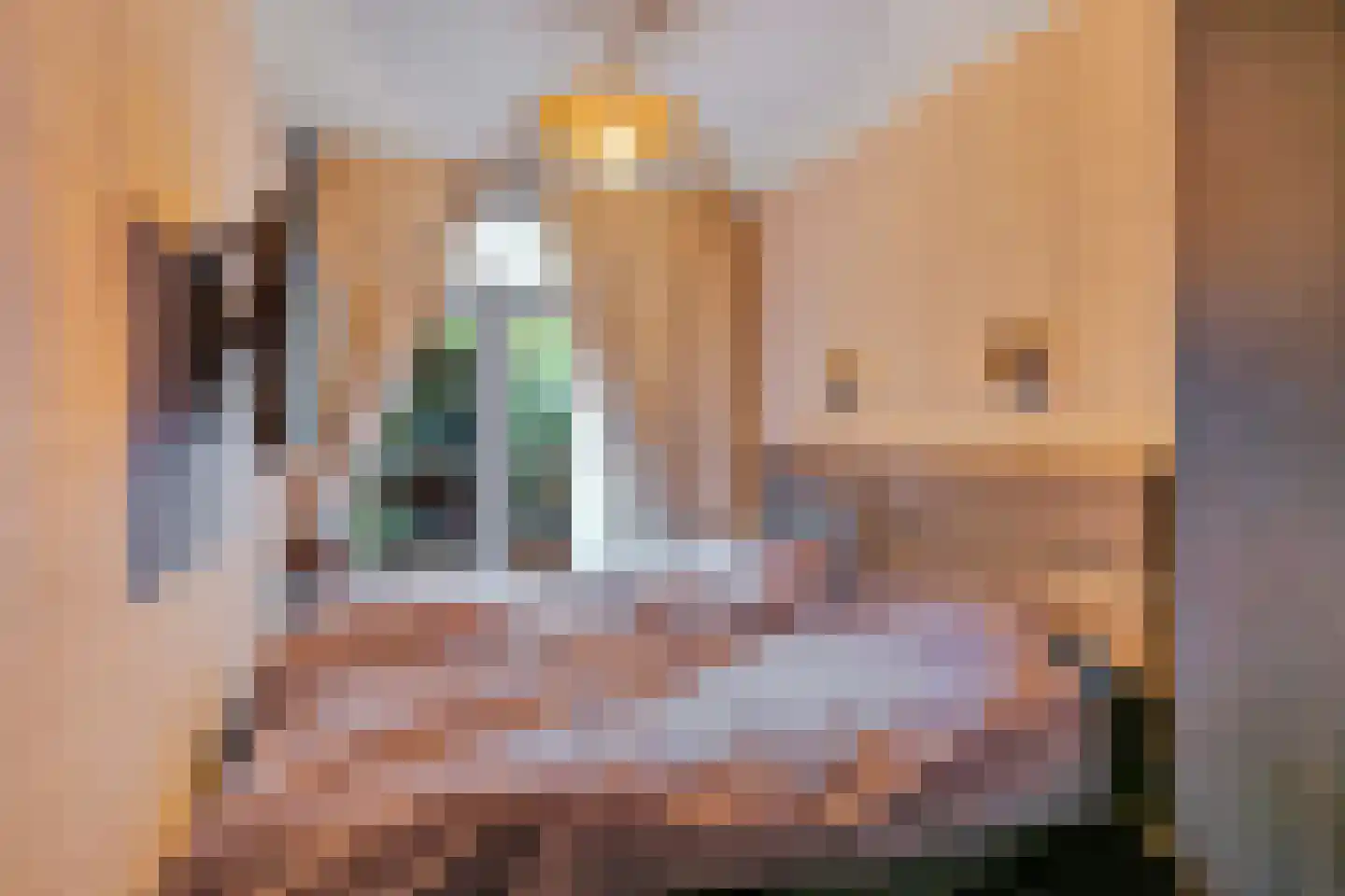 Beatrijsstraat 67 Den Haag thumbnail 32
