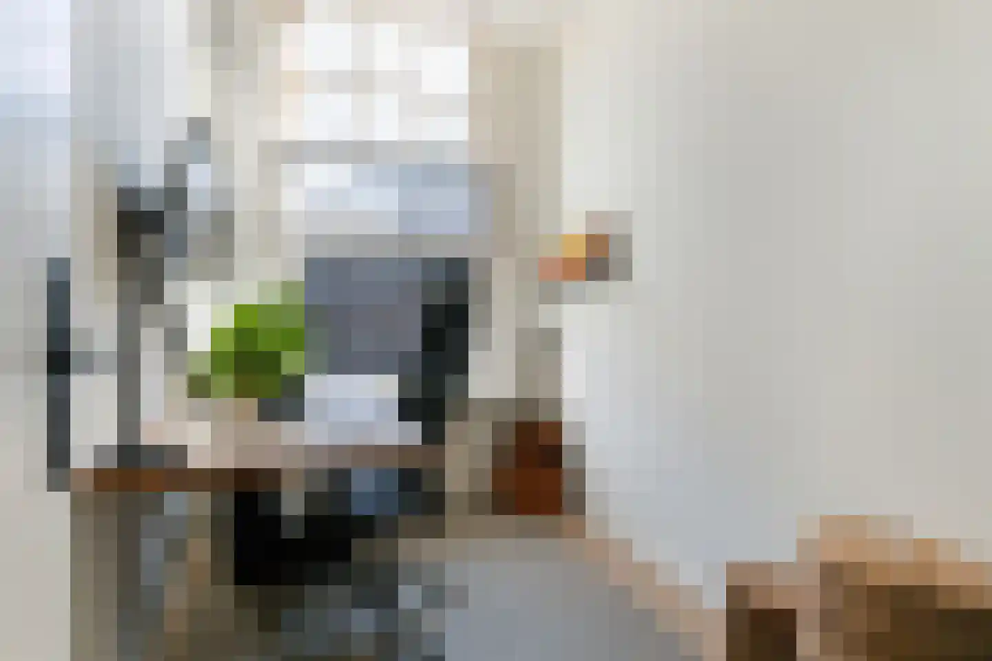 Beatrijsstraat 7 A Rotterdam thumbnail 35