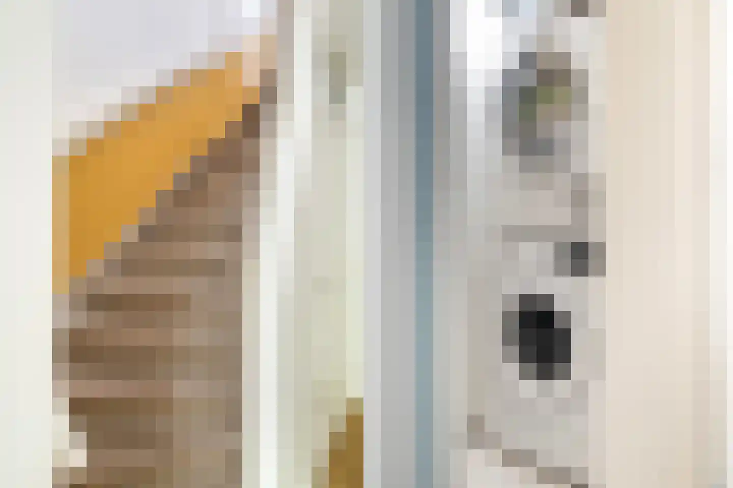 Beatrijsstraat 79 B Rotterdam thumbnail 52