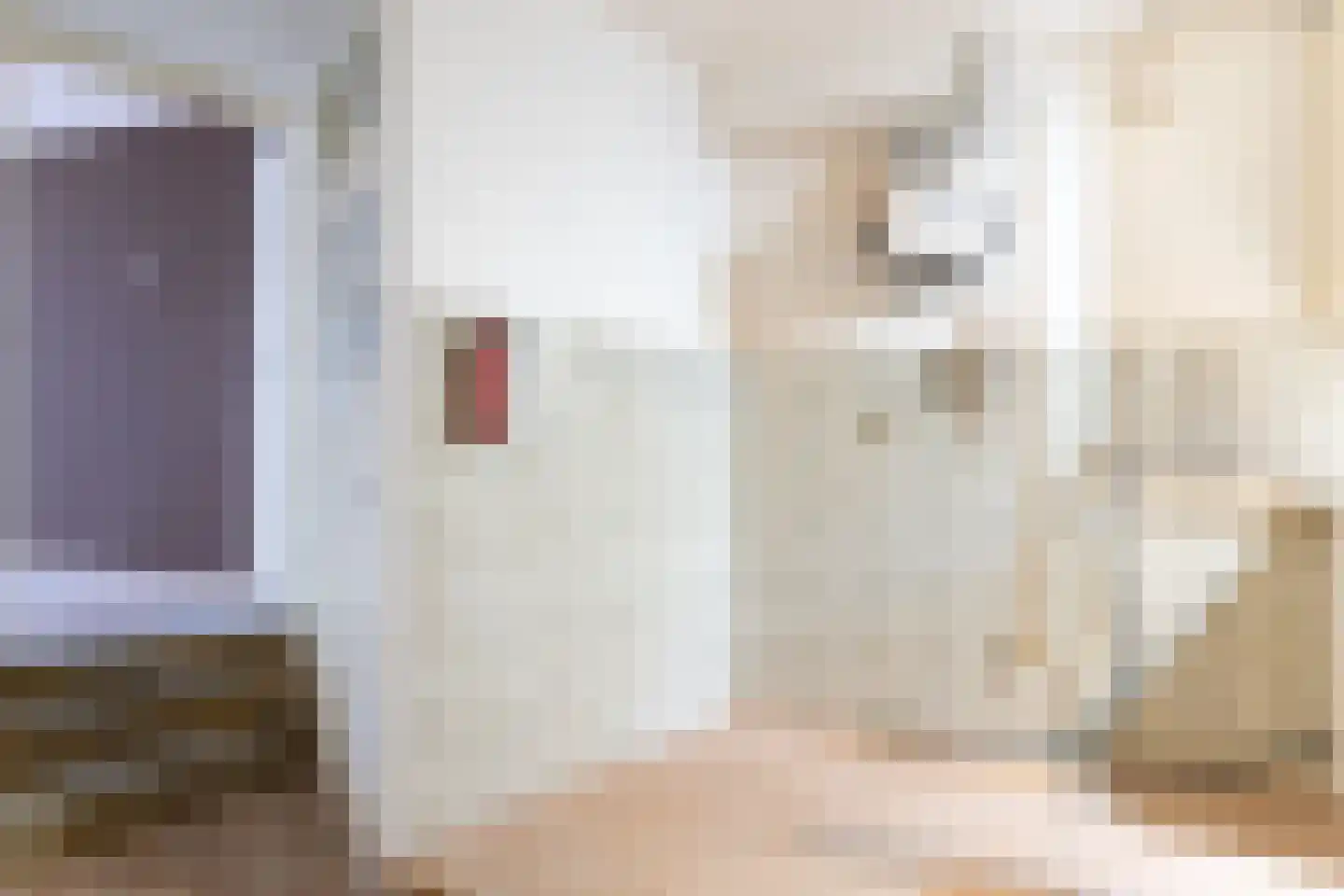 Beatrijsstraat 8 A Rotterdam thumbnail 8