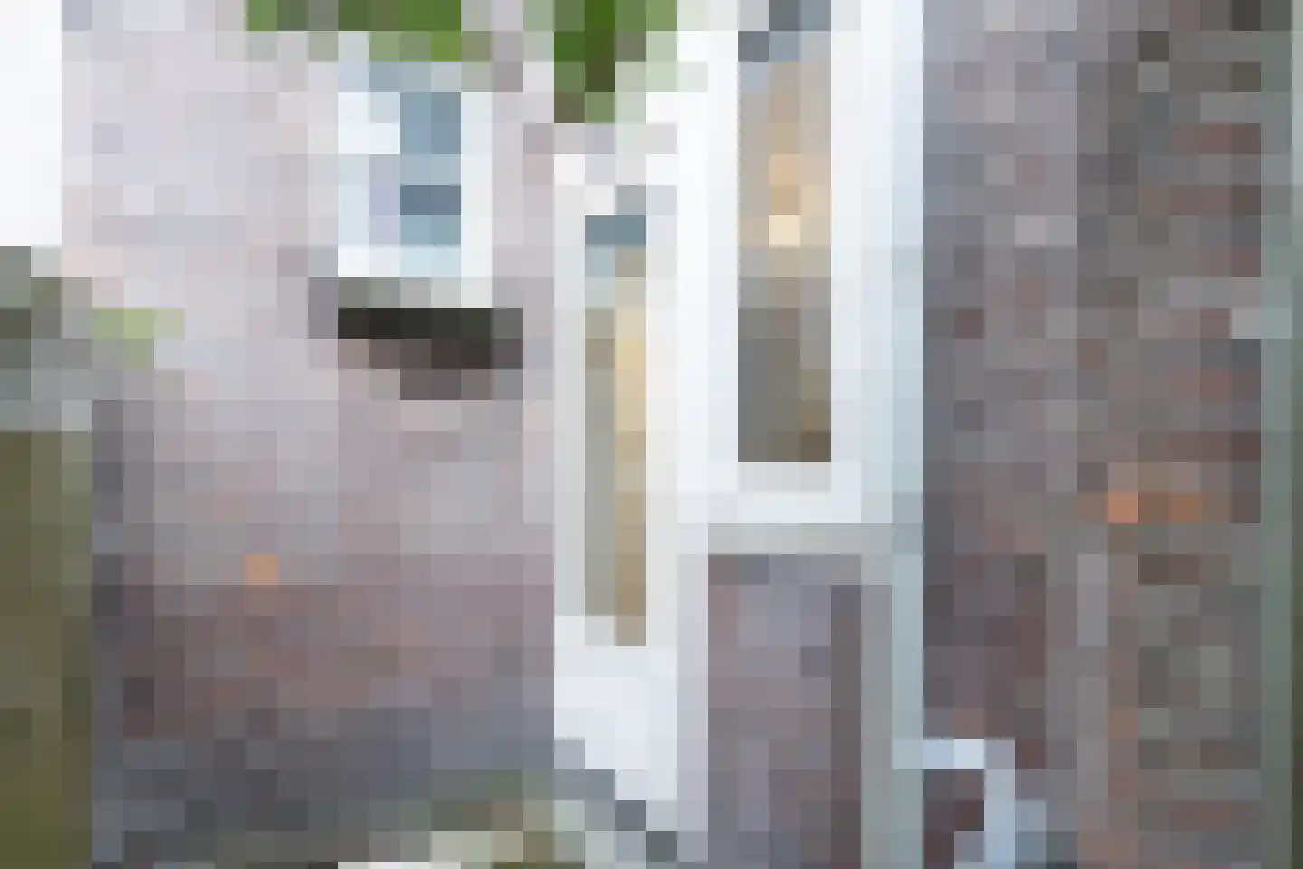 Beatrijsstraat 8 B 01 Rotterdam thumbnail 17
