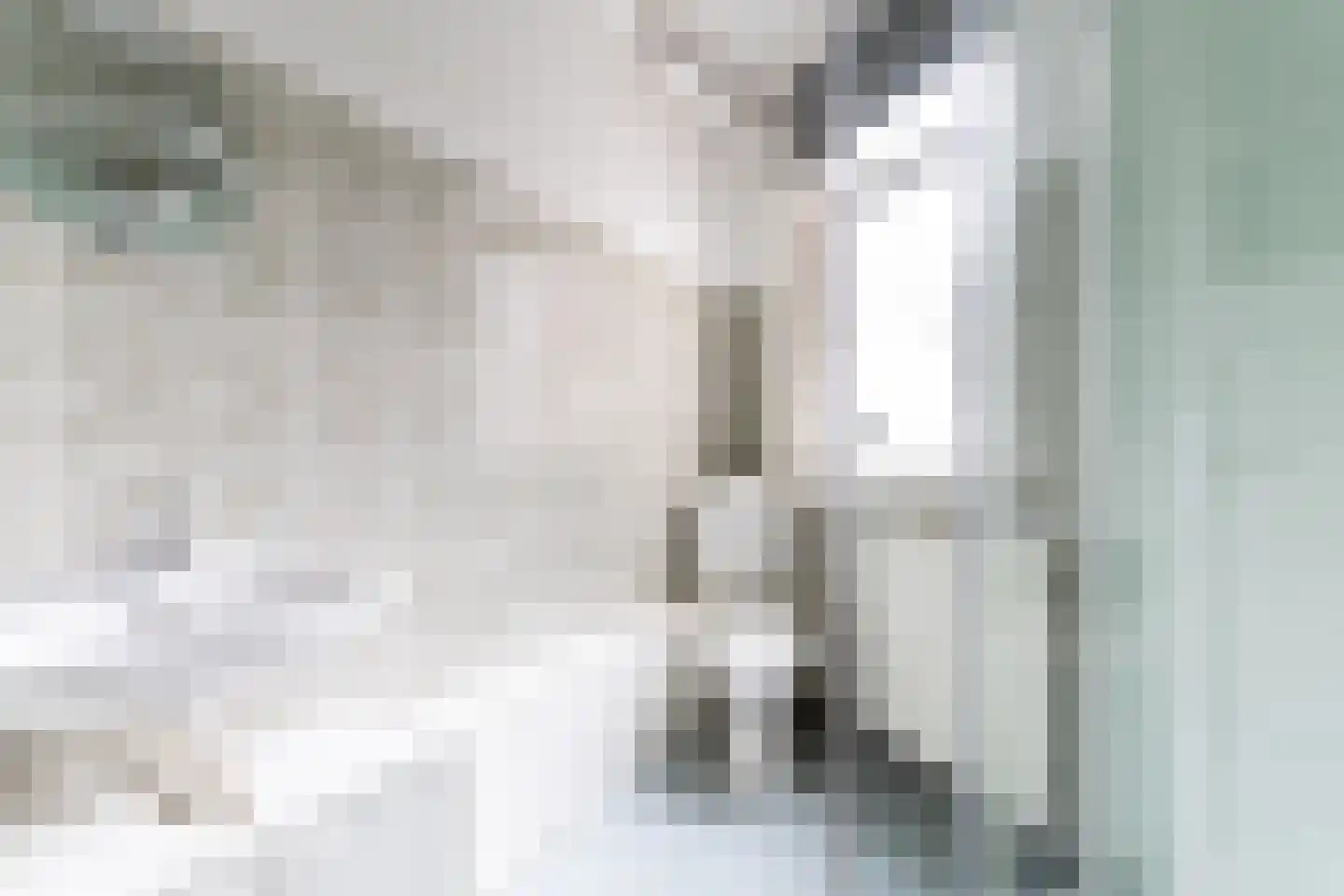 Beatrijsstraat 8 B 02 Rotterdam thumbnail 21