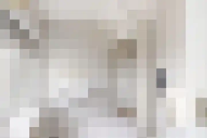 Beatrijsweg 23 Klundert thumbnail 34
