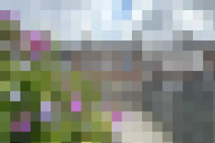 Beatrijsweg 23 Klundert thumbnail 38
