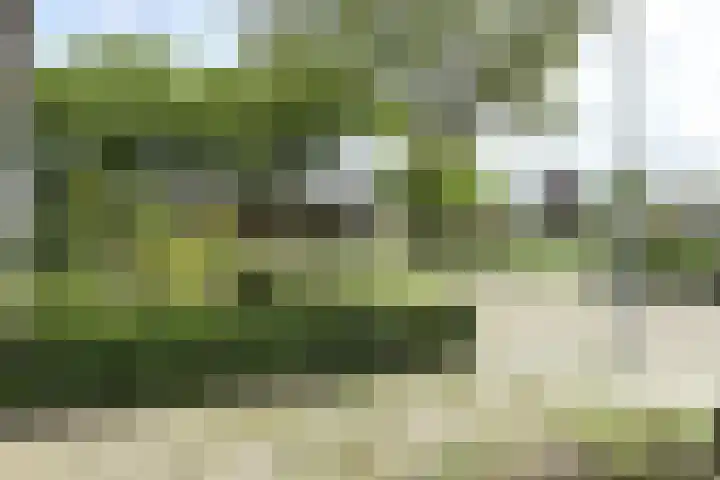 Beatrijsweg 23 Klundert thumbnail 50