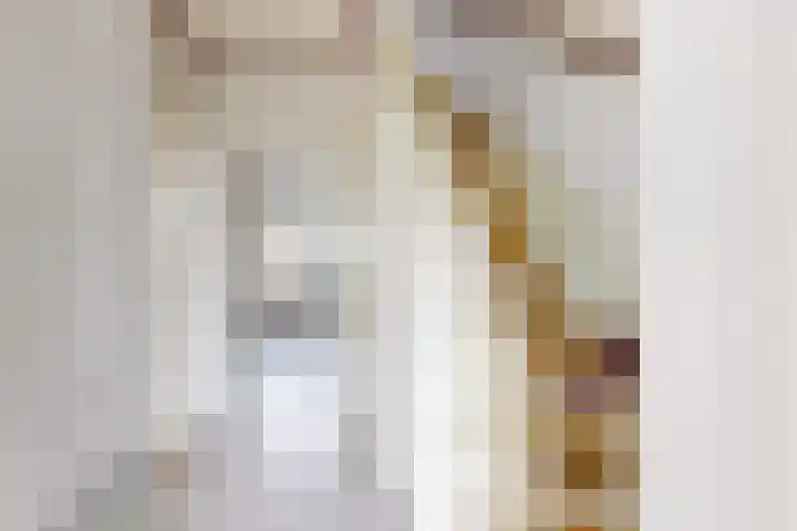 Beatrijsweg 23 Klundert thumbnail 9