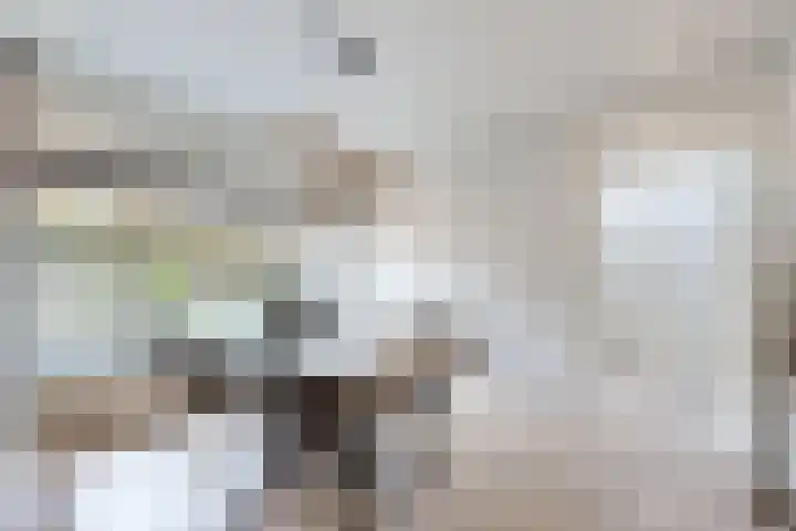 Beatrijsweg 57 Klundert thumbnail 16
