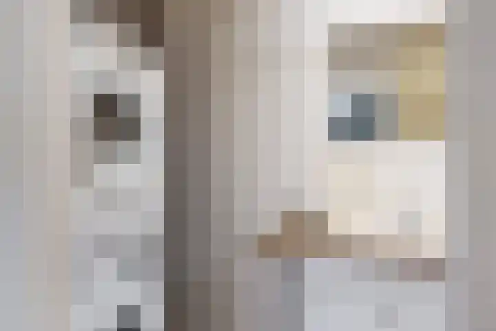 Beatrijsweg 57 Klundert thumbnail 26