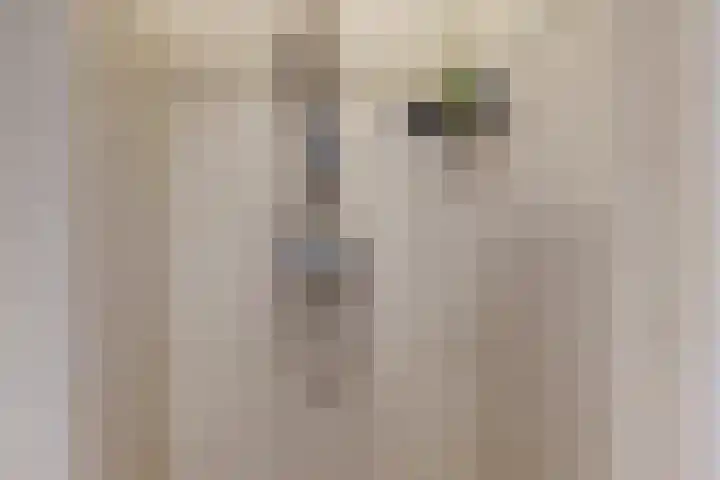 Beatrijsweg 57 Klundert thumbnail 27