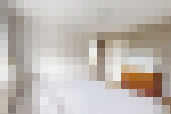 Beatrijsweg 57 Klundert thumbnail 33