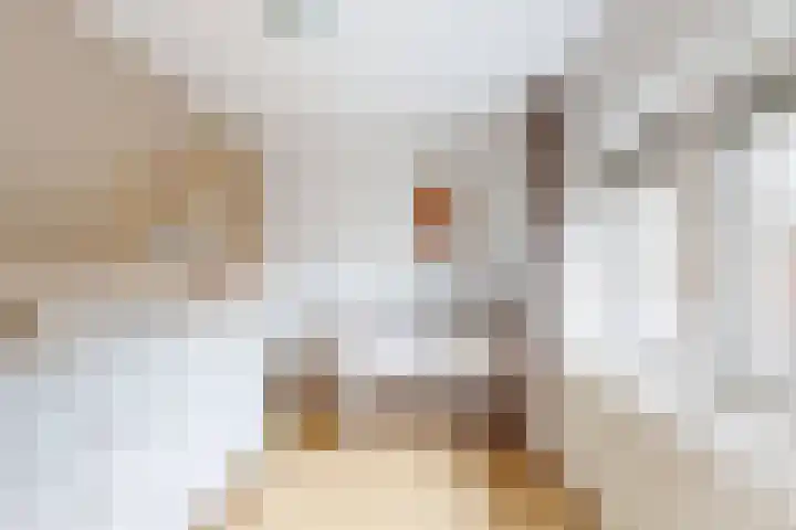 Beatrijsweg 57 Klundert thumbnail 36