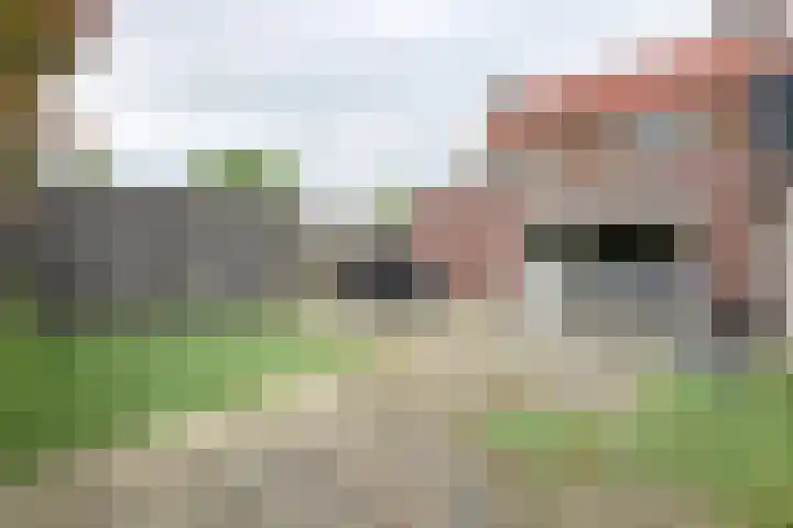 Beatrijsweg 57 Klundert thumbnail 40