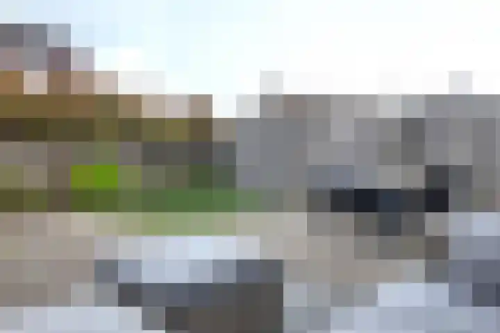 Beatrijsweg 57 Klundert thumbnail 42