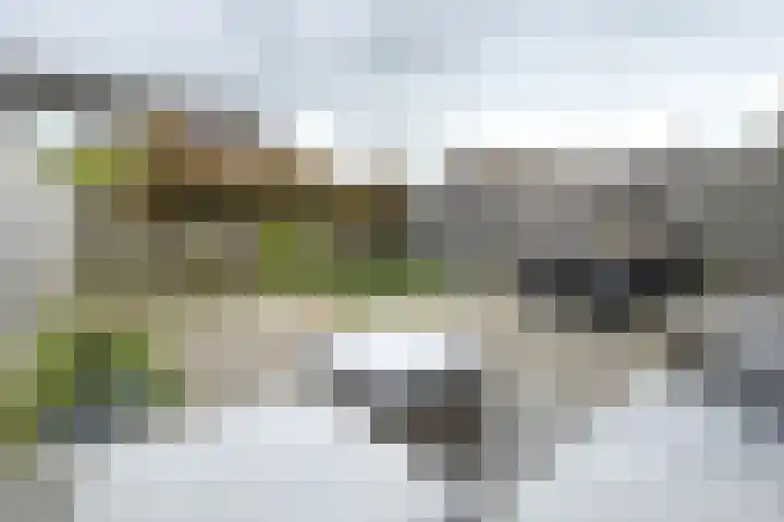 Beatrijsweg 57 Klundert thumbnail 43