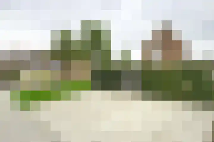 Beatrijsweg 57 Klundert thumbnail 46