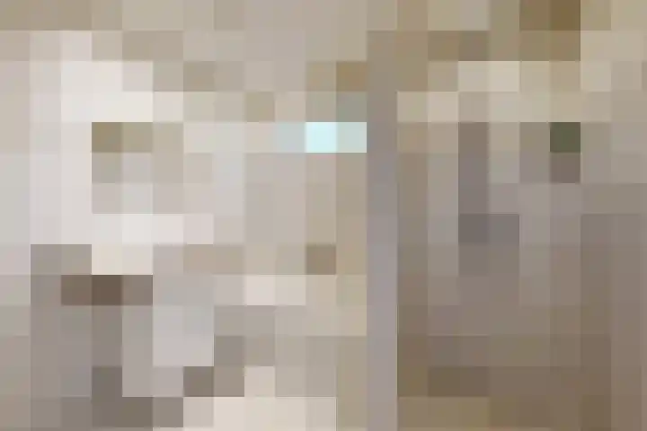 Beatrijsweg 57 Klundert thumbnail 5