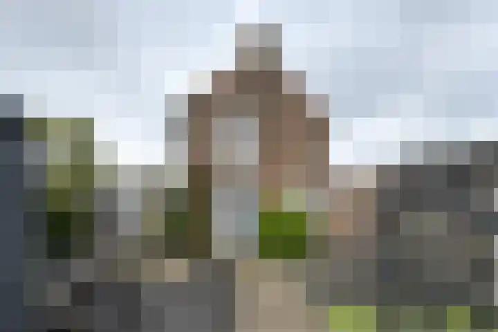 Beatrijsweg 57 Klundert thumbnail 50