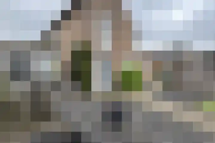 Beatrijsweg 57 Klundert thumbnail 52