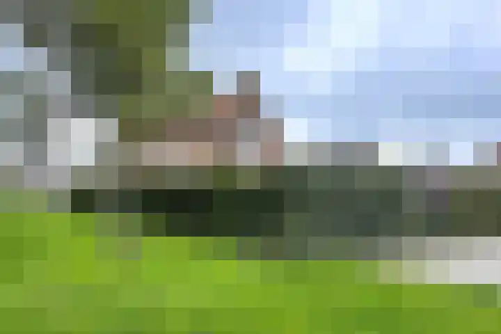 Beatrijsweg 57 Klundert thumbnail 54