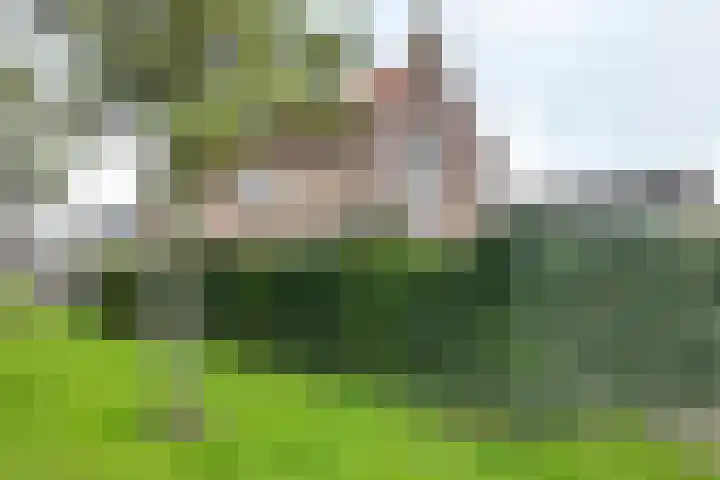 Beatrijsweg 57 Klundert thumbnail 55