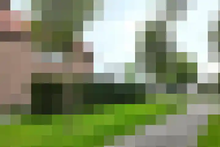 Beatrijsweg 57 Klundert thumbnail 56