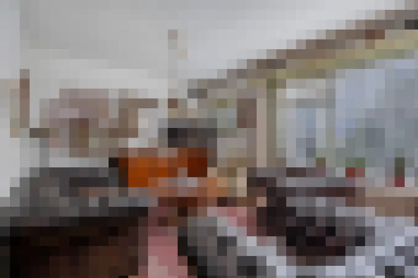 Beatrix de Rijkstraat 98 Beverwijk thumbnail 15