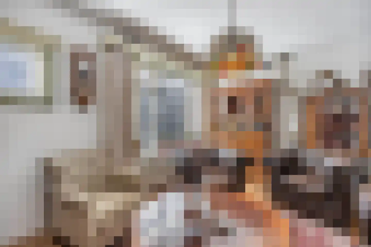 Beatrix de Rijkstraat 98 Beverwijk thumbnail 20