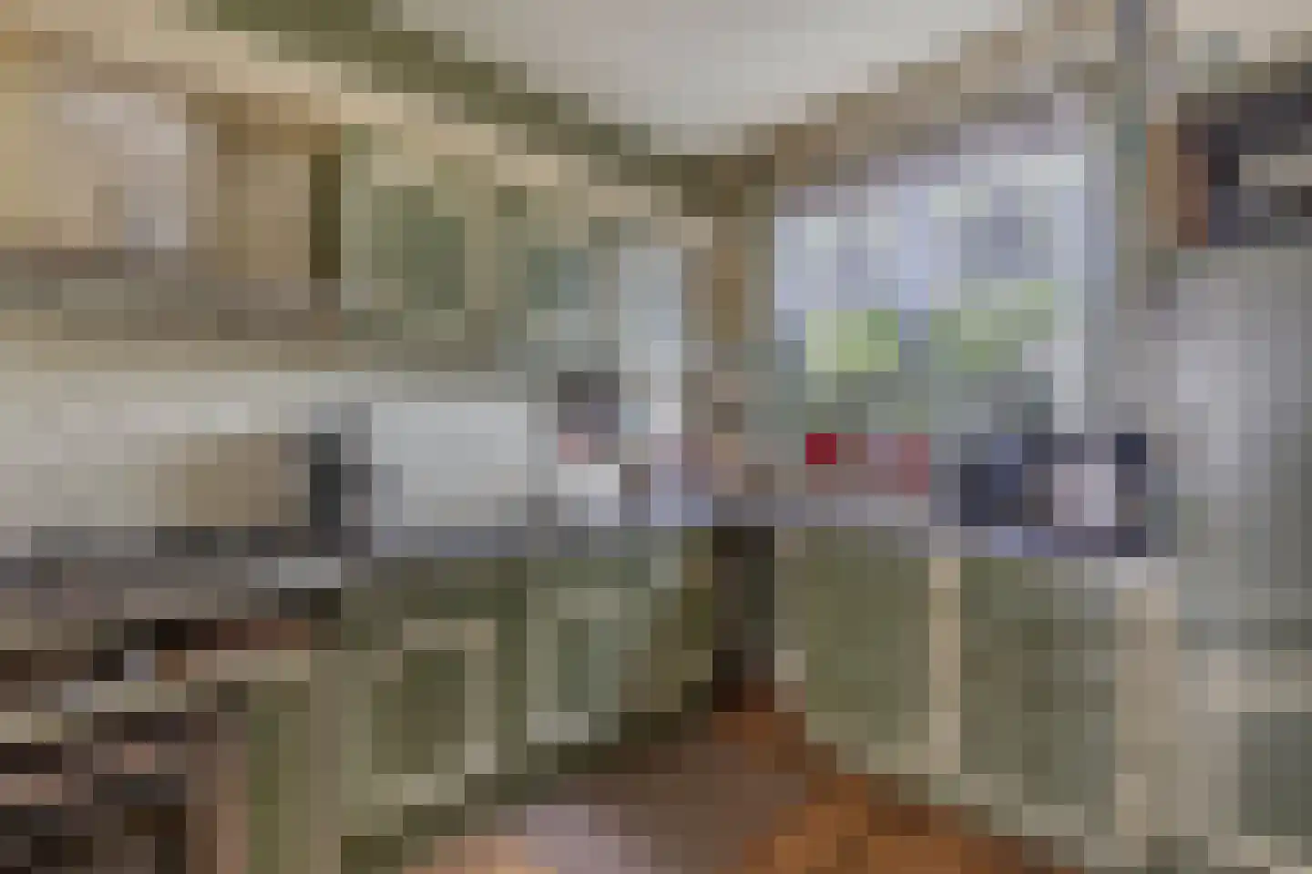 Beatrix de Rijkstraat 98 Beverwijk thumbnail 22