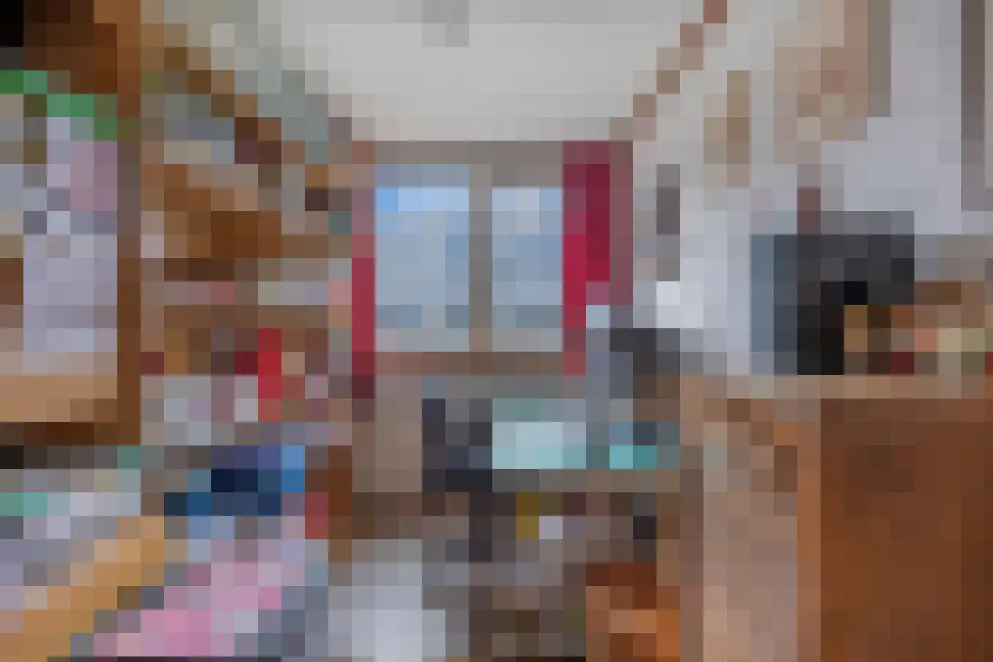 Beatrix de Rijkstraat 98 Beverwijk thumbnail 30