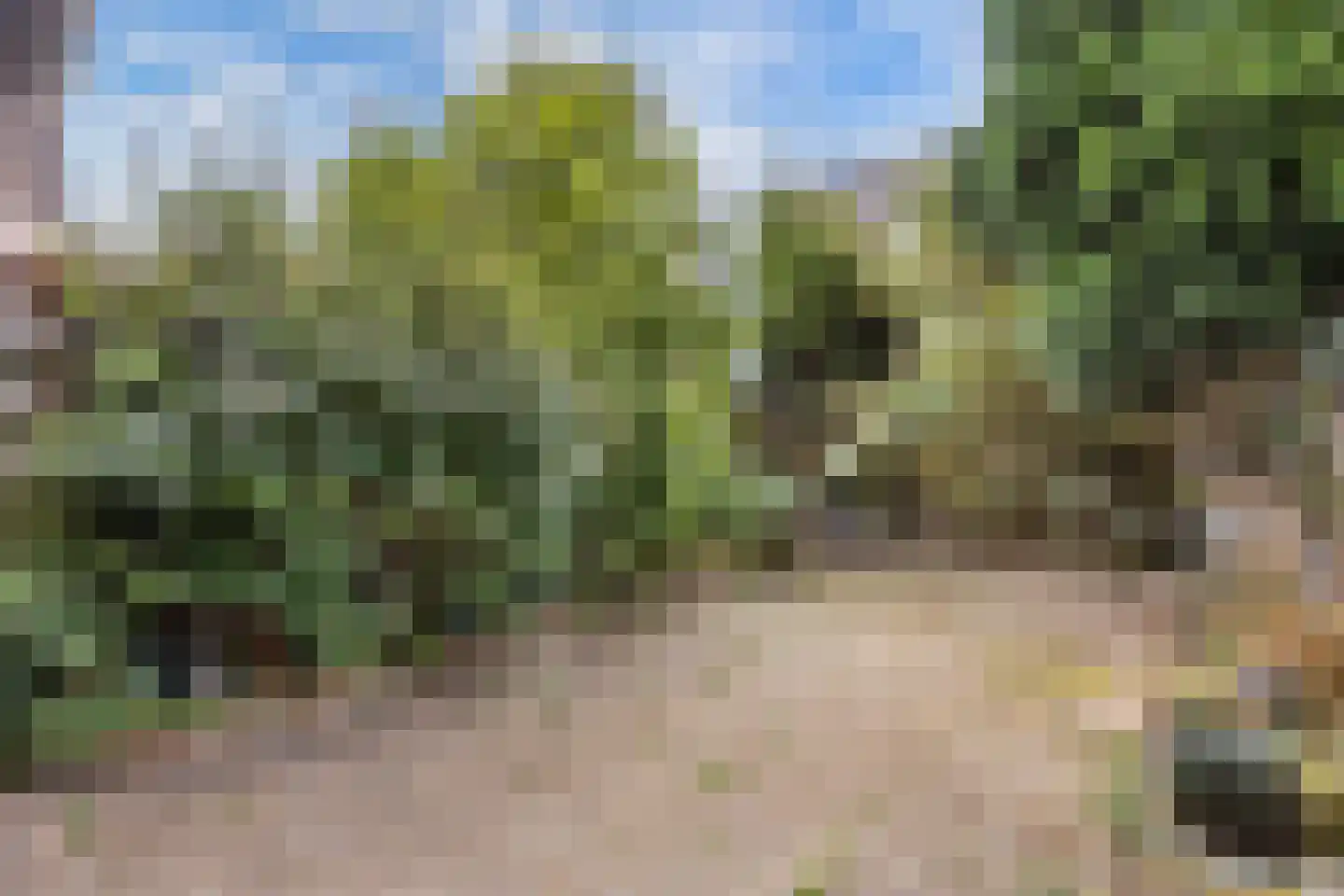 Beatrix de Rijkstraat 98 Beverwijk thumbnail 38