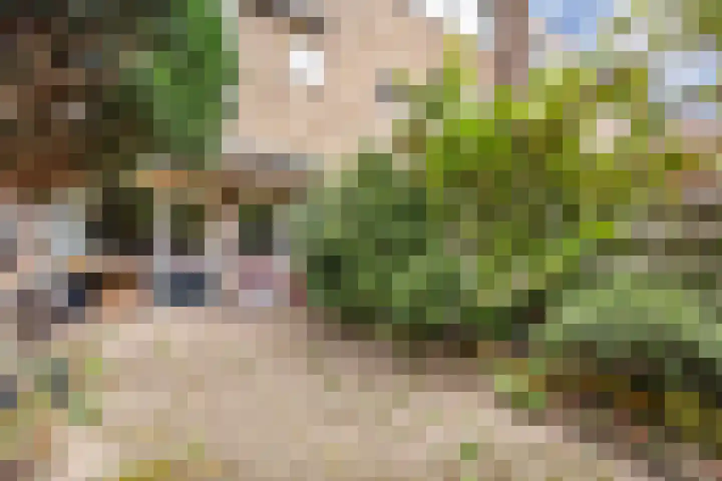 Beatrix de Rijkstraat 98 Beverwijk thumbnail 39