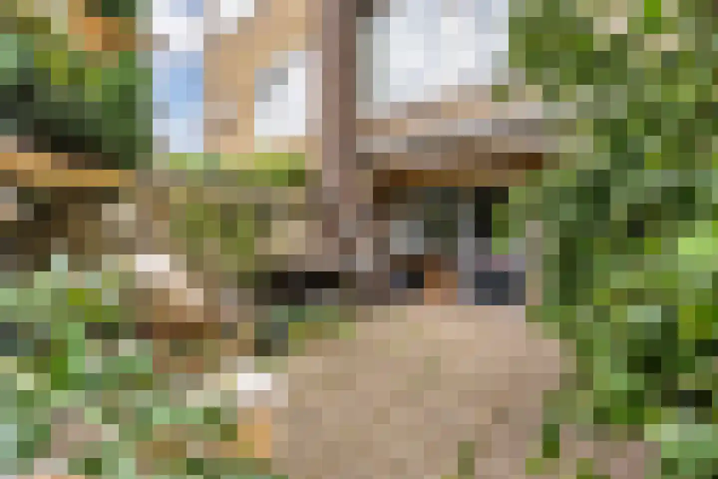 Beatrix de Rijkstraat 98 Beverwijk thumbnail 41