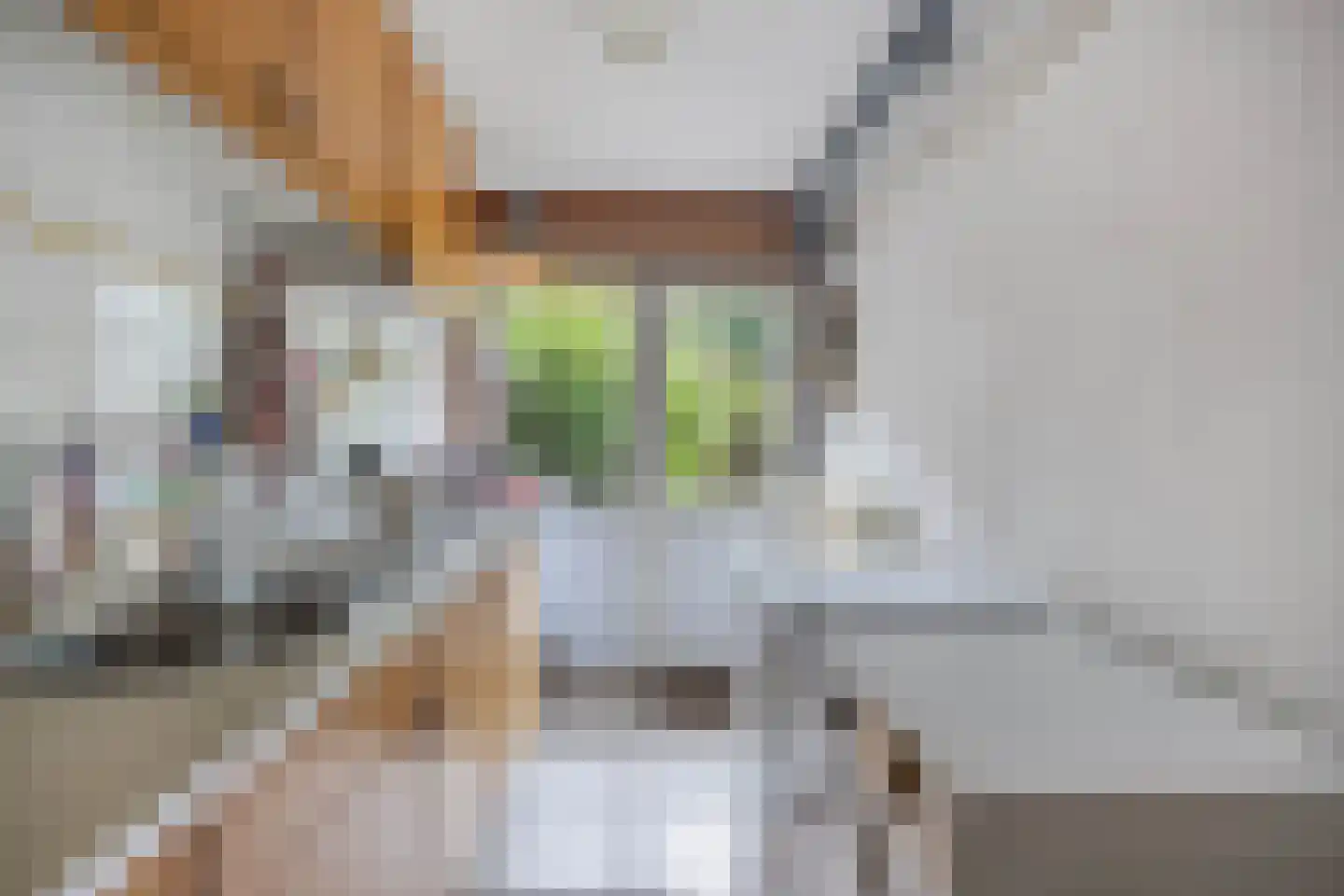 Beatrix de Rijkstraat 98 Beverwijk thumbnail 8