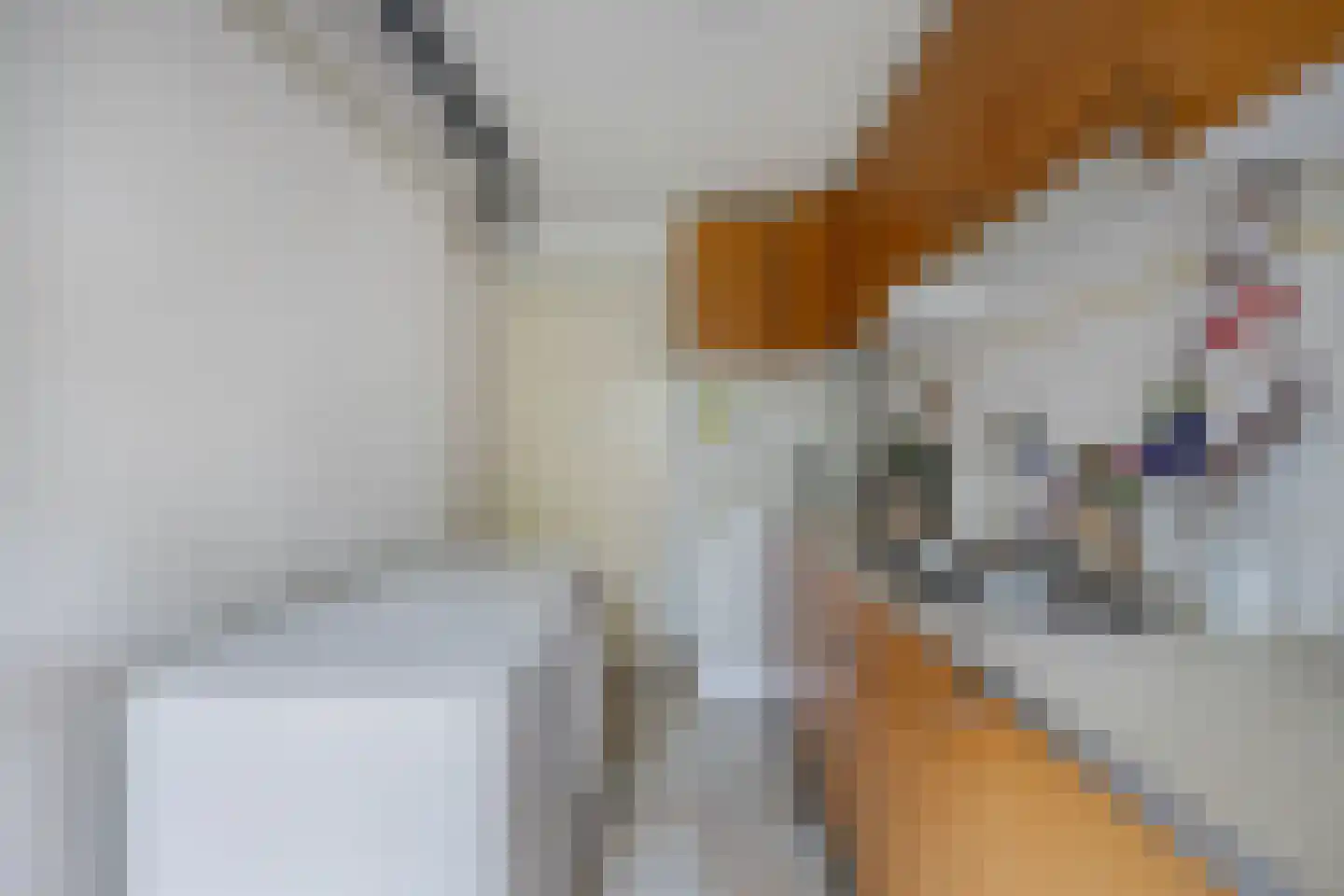 Beatrix de Rijkstraat 98 Beverwijk thumbnail 9