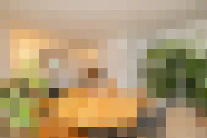 Beatrix Hoeve 19 Gouda thumbnail 12