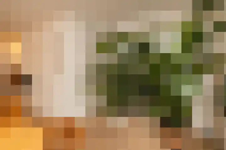 Beatrix Hoeve 19 Gouda thumbnail 13