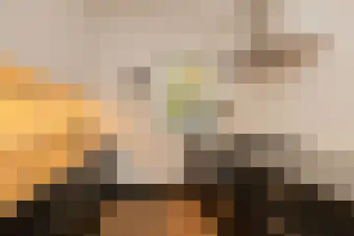 Beatrix Hoeve 19 Gouda thumbnail 20