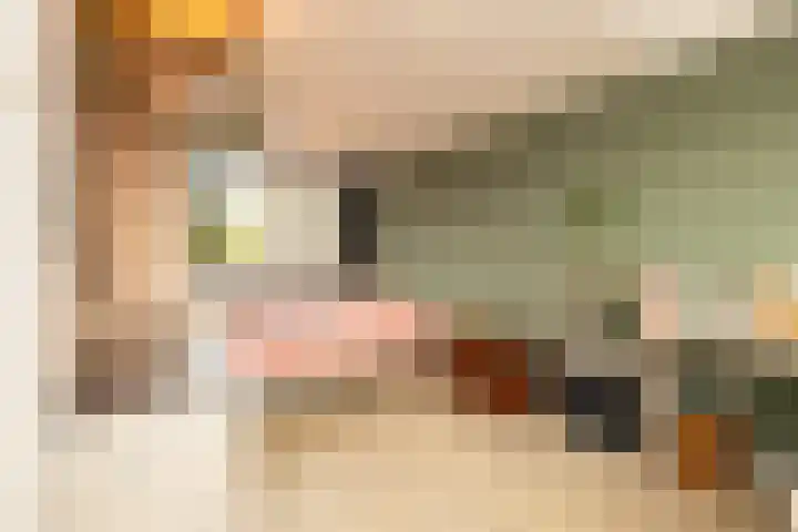 Beatrix Hoeve 19 Gouda thumbnail 37