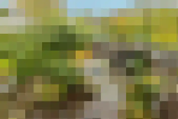 Beatrix Hoeve 19 Gouda thumbnail 42