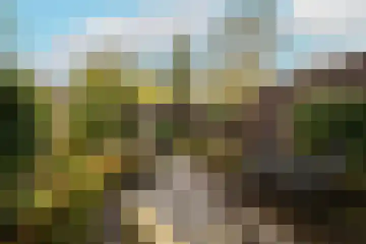 Beatrix Hoeve 19 Gouda thumbnail 44