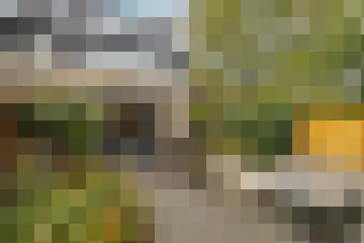 Beatrix Hoeve 19 Gouda thumbnail 45