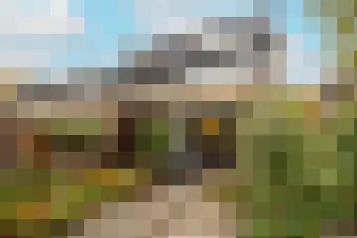 Beatrix Hoeve 19 Gouda thumbnail 46