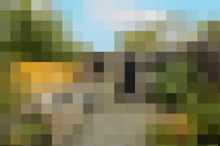 Beatrix Hoeve 19 Gouda thumbnail 5
