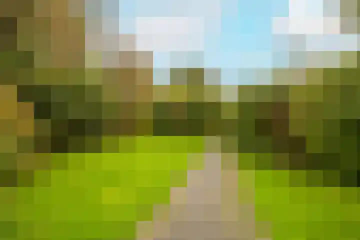 Beatrix Hoeve 19 Gouda thumbnail 56