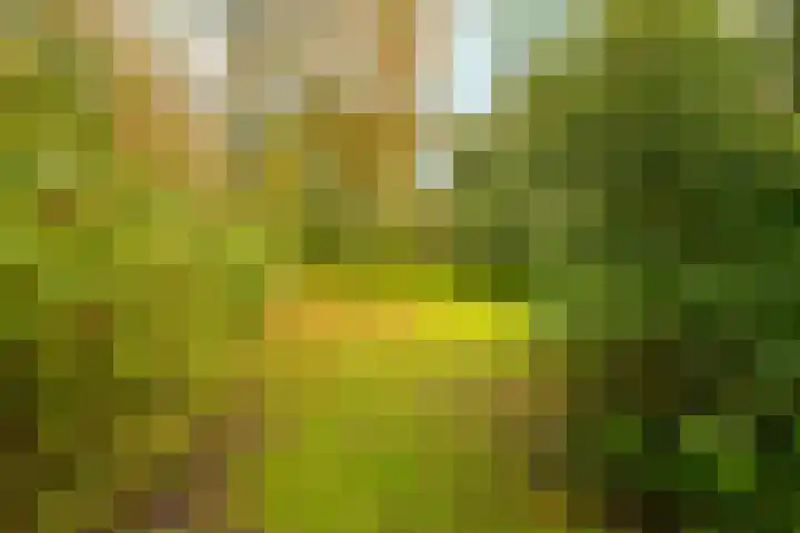 Beatrix Hoeve 19 Gouda thumbnail 57