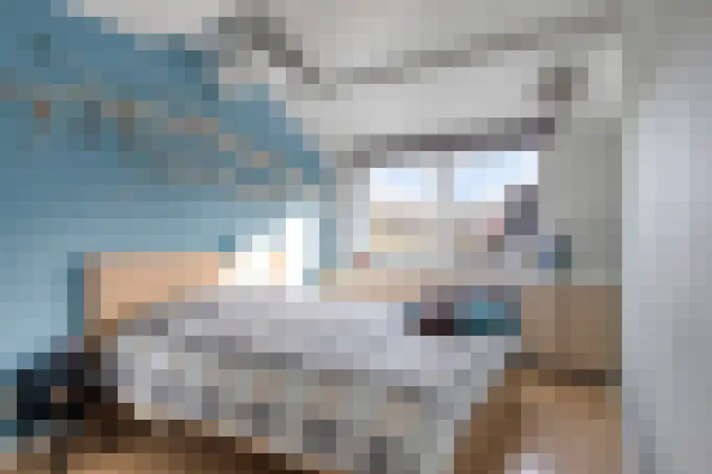 Beatrix Hoeve 35 Gouda thumbnail 13