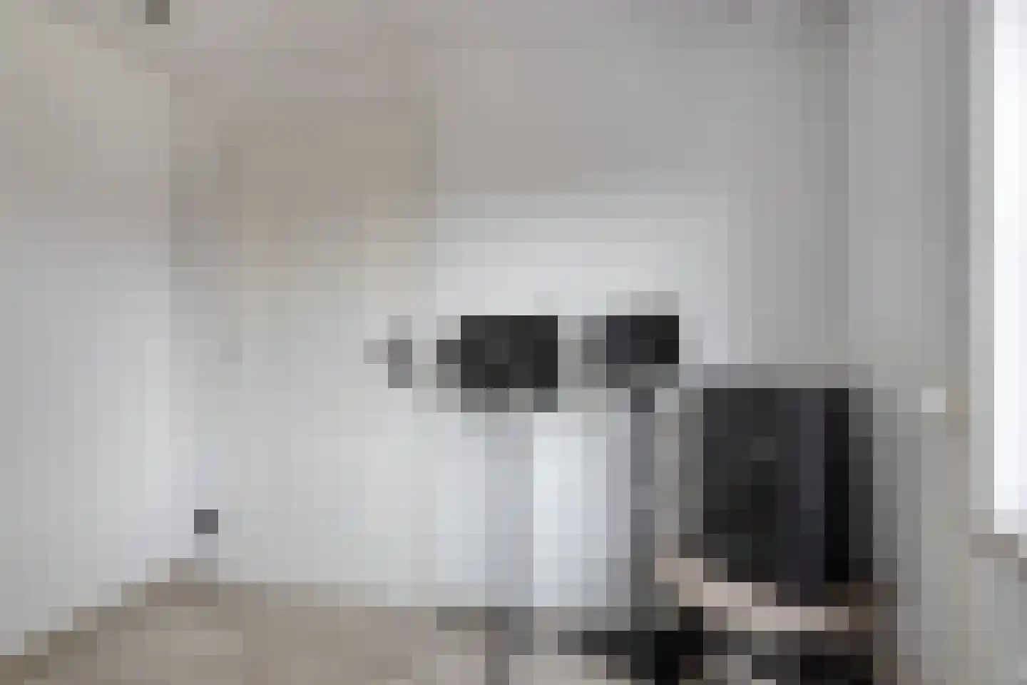 Beatrixhof 22 Tilburg thumbnail 25