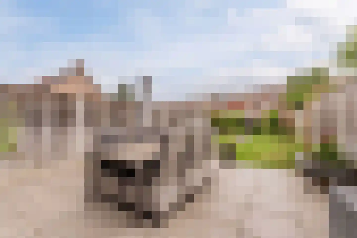 Beatrixhof 28 Tilburg thumbnail 34