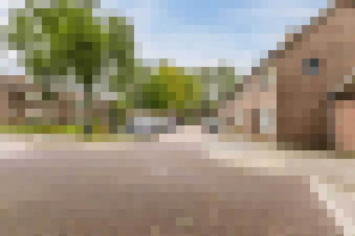 Beatrixhof 28 Tilburg thumbnail 38