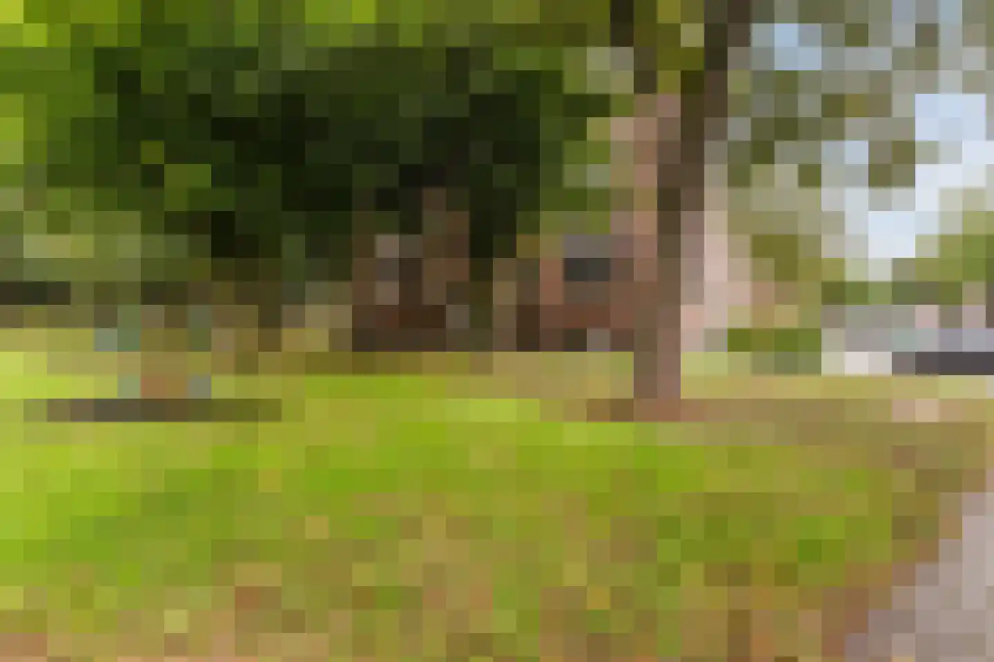 Beatrixhof 28 Tilburg thumbnail 39